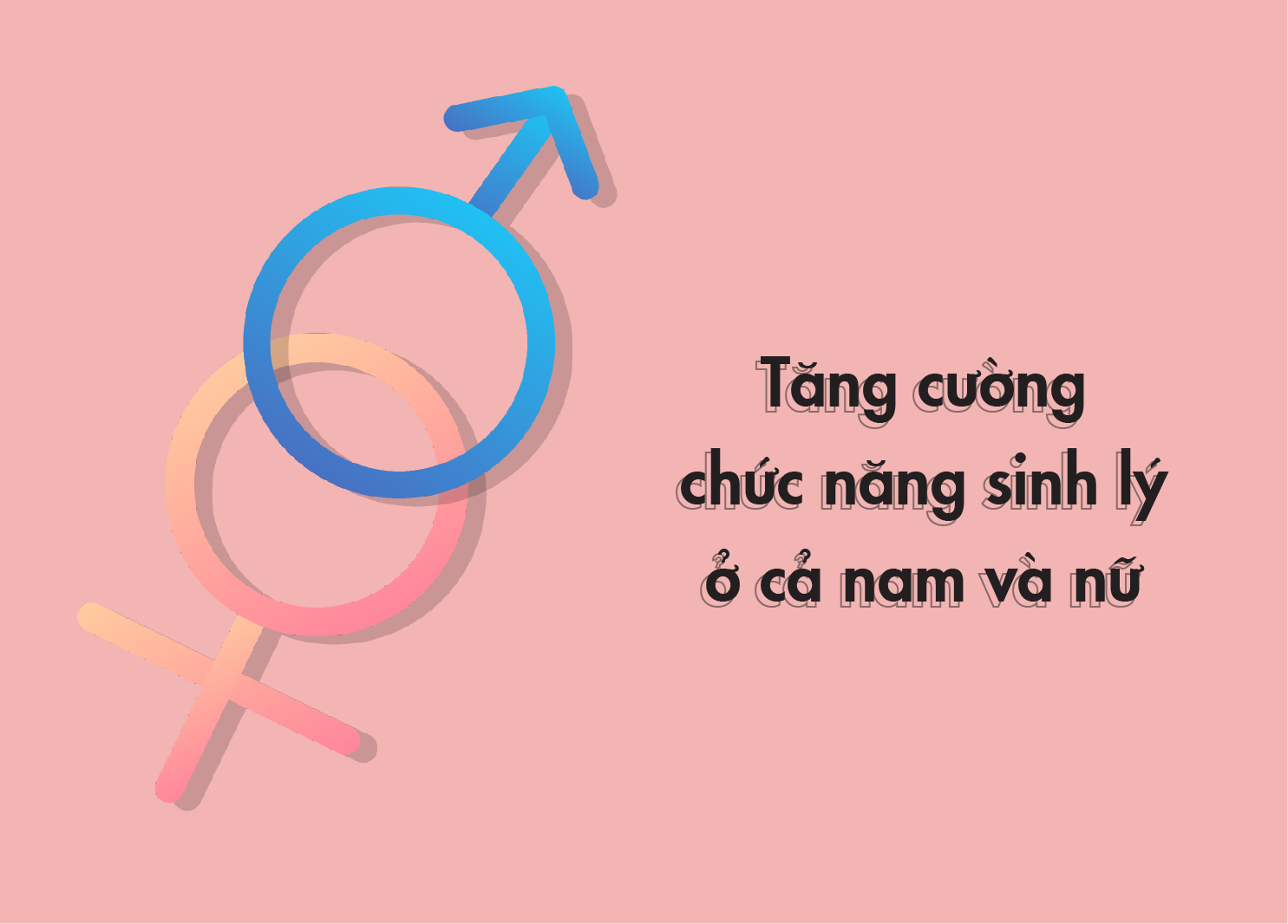 Trang Chủ 2 20 Trang Chủ 2